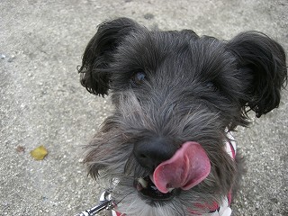 また来たいな~♪