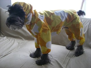 おにゅ～のかっぱ♪