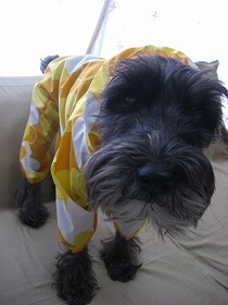 着たくないねん（ＴＴ）