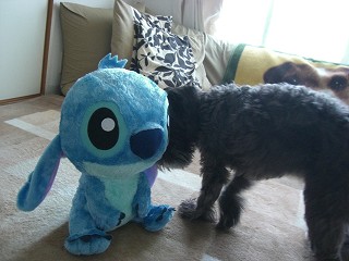 コソコソ・・・