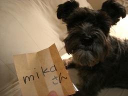 あんたが大将（賞）＾ｍ＾ﾌﾟﾌﾟｯ！