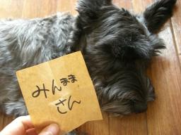 私、悪くないです。。。ねぇ、みんままさん♪