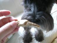 はい、取って来たよ～