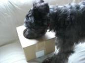 どれにしようかなっ♪