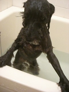 いい湯加減でした＾＾