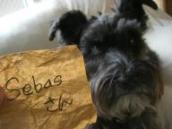 三等　『ルールー太っ腹賞』