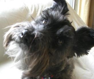 またやっちゃいました♪　エヘッ＾ー＾