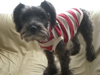 まだまだイケてるしぃ～♪