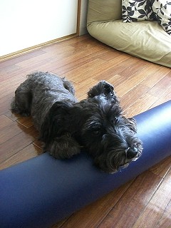 ちょうどいいよ♪