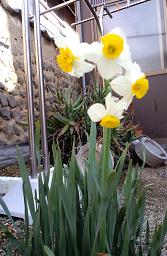 H23.3.17keitai 2084@.jpg