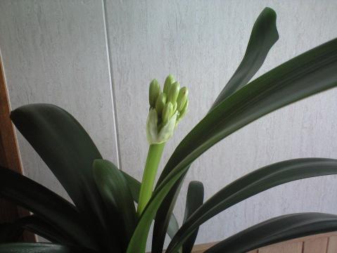 2010-04-05 12:05:45