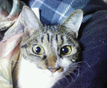 200801312020000.jpg