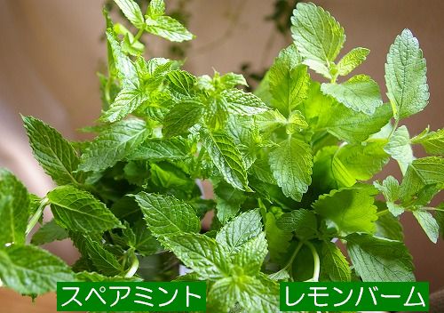 その他の潜在的な利点