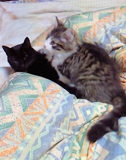 ライオネル君と仲良しショット