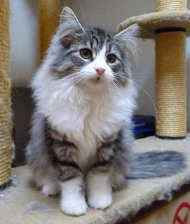 巣立ち　かぐや姫8/5