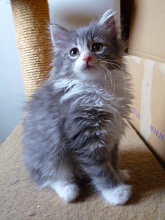 キャンセルになったブルー＆Wの女の子