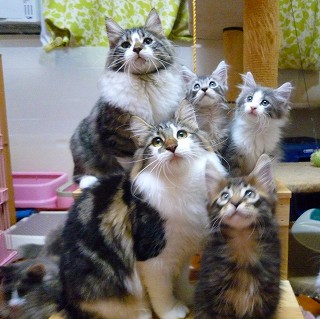 みんなで仲良く☆