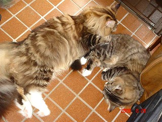 ボクとマー君♪