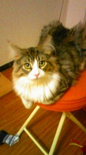 ノルのルカちゃん-3