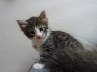 2009.08.05 ノル・男の子