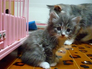 2009.8/5 ノル・ブルー男の子