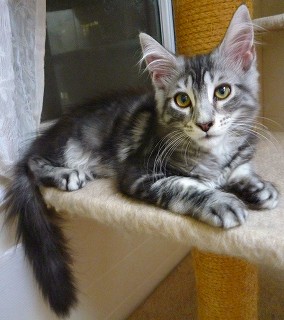 2010.02.19  レベッカ・シルバー女の子