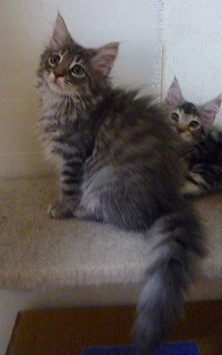 2010.03.21ノル・ブルー男の子-2