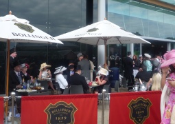 ascot7