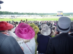 ascot12