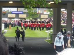 ascot3