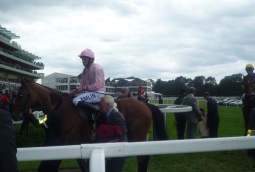 ascot8