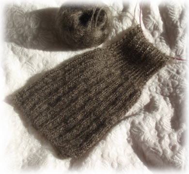 ウーリーシルク