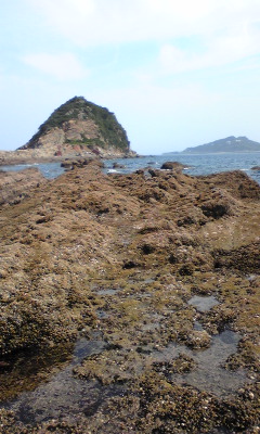 新着記事一覧 長崎県 諫早近郊の釣り 地磯 ふかせ釣 楽天ブログ