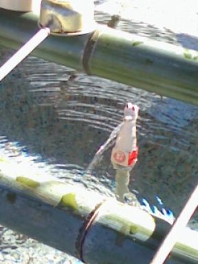 穴守稲荷のお清め処