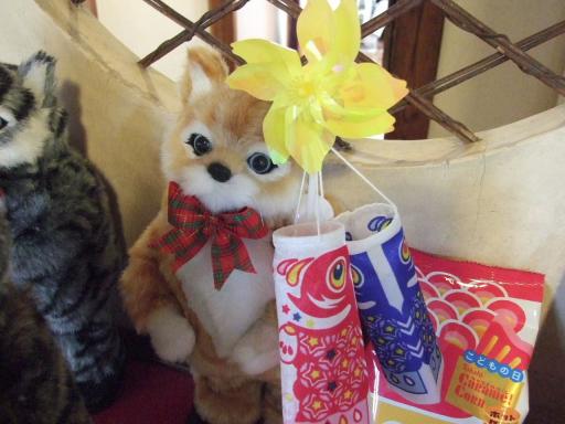 鯉のぼりを持ってお出迎えするダンシング･キャット