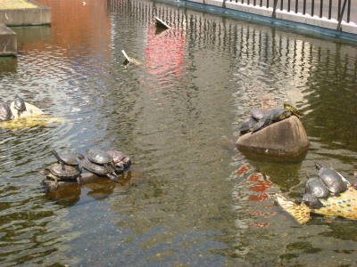 IMG_2463.JPG