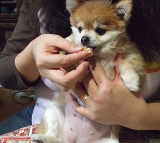 ケーキおいちい.jpg