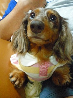 P6262207.jpg