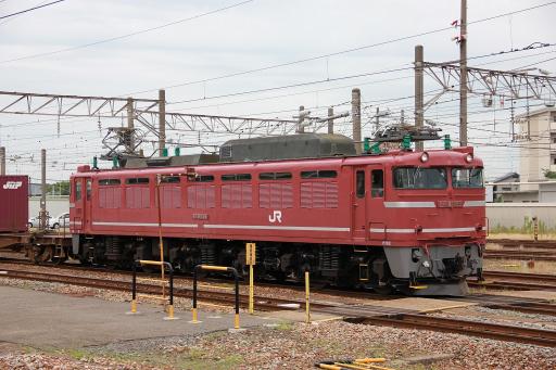 EF81 135