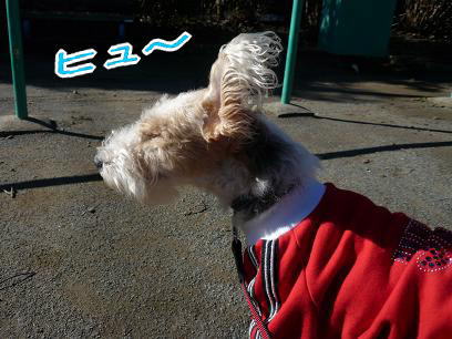 081227_03.jpg