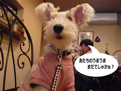 081214_14.JPG