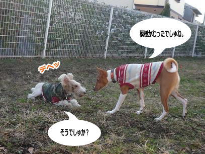 081229_08.jpg