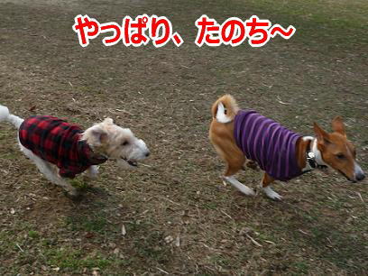 090112_07.jpg