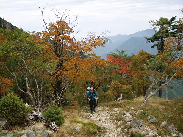 たんこぶの様な山も見えています＾＾