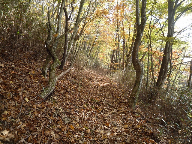 晩秋の登山道