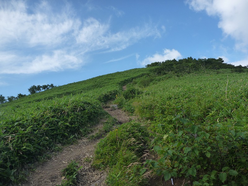 室蘭岳（鷲別岳）山頂　近く。