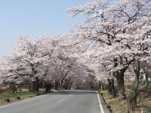 聖地公園