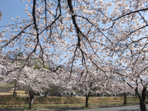 聖地公園