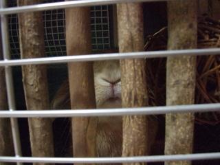 2009.02.09牢屋に.jpg