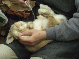 2009.03.07えぇぇ.jpg